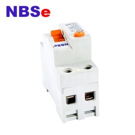 BFL62 Series Double Pole Circuit Breaker , MCB RCD Circuit Breaker Lightweight