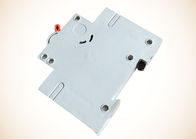 NBSe BN60 Miniature circuit breakers up to 63 A (10 kA),Industrial Board