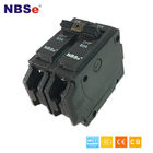 NBSe TQL 2P 60A Plug Fuse Circuit Breaker 10kA 50/60Hz For Household / Automotive