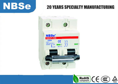 IEC60947-2 TUV 100A 2 Pole DC Industrial Type Circuit Breaker