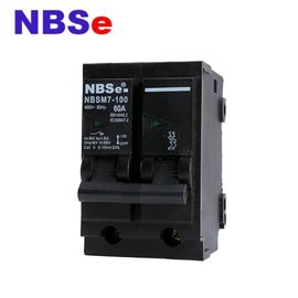 100A Plug Fuse Circuit Breaker