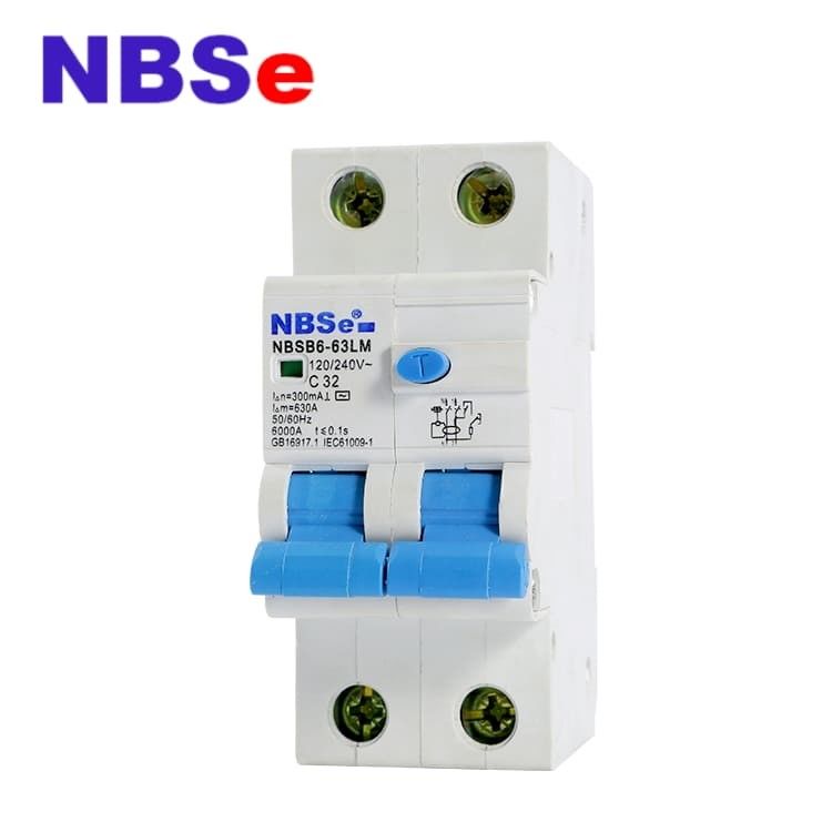 NBSM6-63LM C63 Residual Current Breaker With Overload Protection Double Pole